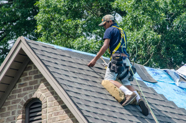 Best Shingle Roofing Installation  in Lincolnwood, IL